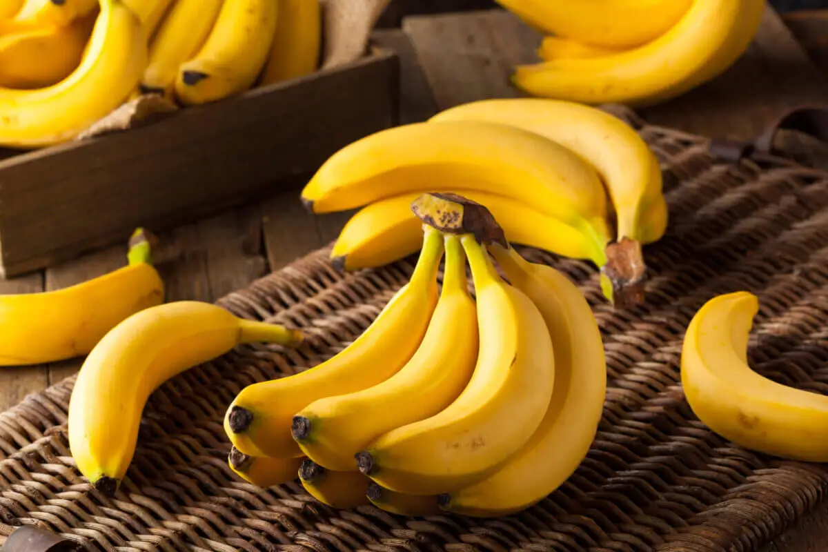 Diferencia entre plátano y banana