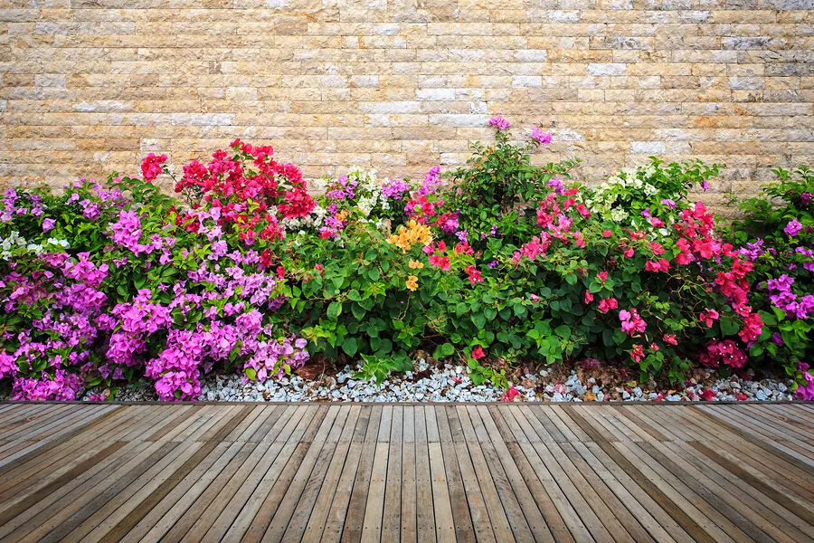 Decora tu jardín con flores y piedras